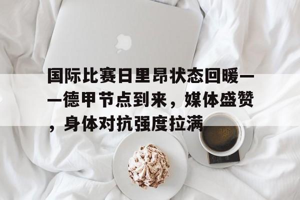 爱游戏正版-国际比赛日里昂状态回暖——德甲节点到来，媒体盛赞，身体对抗强度拉满的简单介绍