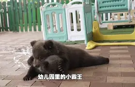 爱游戏平台-佩洛西窜访台湾事件结局